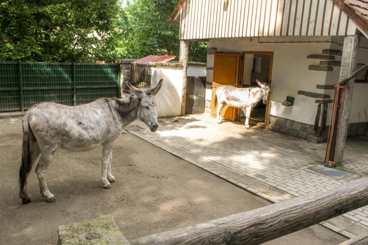 Bischofswerda Ferienwohnung Familienfreundlich Seniorengerecht Bagian luar foto